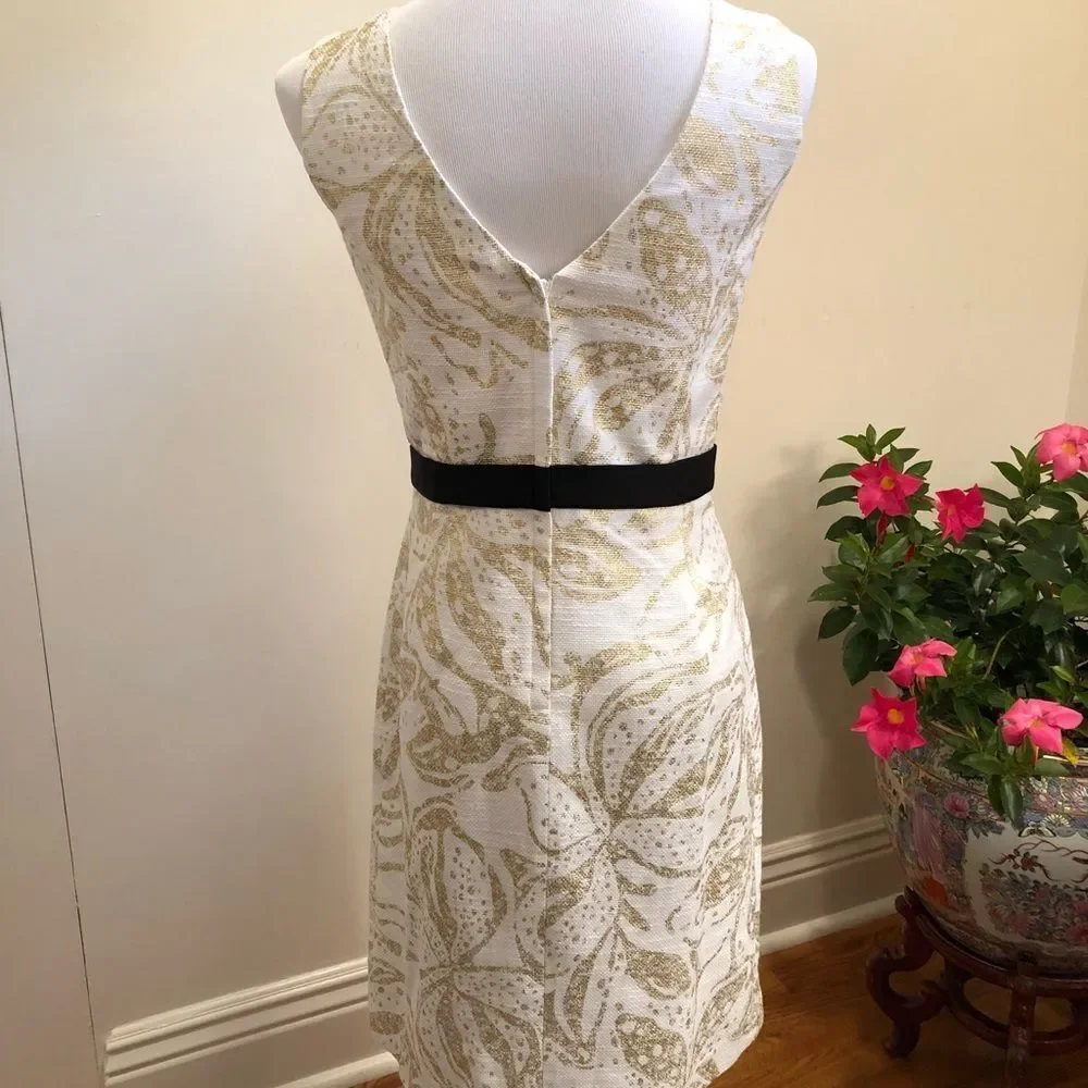 Lilly Pulitzer dress